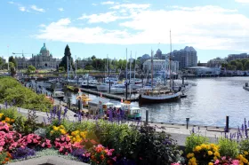Scenic waterfront view with flowers in the foreground, boats docked, historic buildings, and a clear blue sky in the background