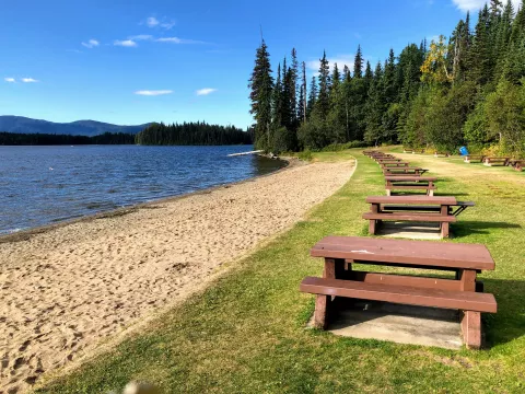 A lakeside scene with a line of wooden picnic tables on grass, next to a beach backed by pine trees