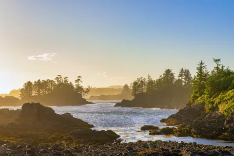 Sunset over a rocky coastline with green trees