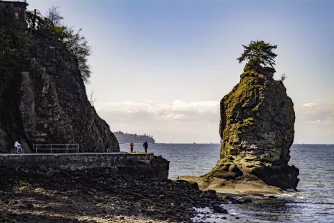 A coastal scene with a large rock formation topped by a tree in the ocean, near a rocky shore with people walking and biking