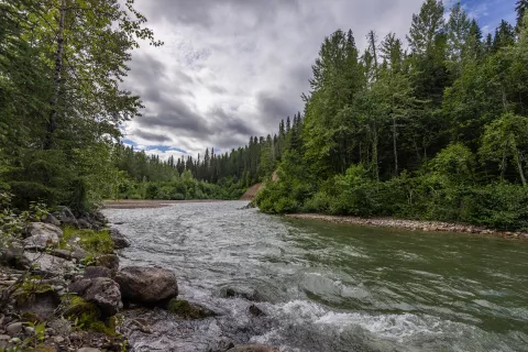 A river flows through a forest under a cloudy sky