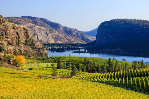 Vineyards stretch across rolling hills, bordered by a lake. Rugged mountains shown in the background under a clear blue sky